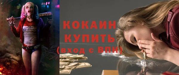 гашик Коряжма