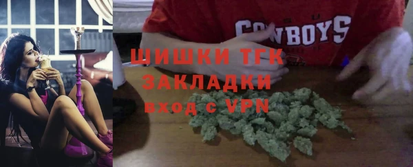 гашик Коряжма