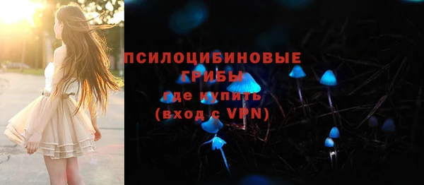 гашик Коряжма