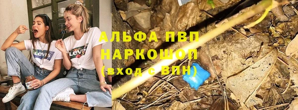 гашик Коряжма