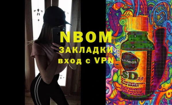 гашик Коряжма
