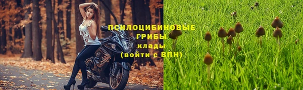таблы Костерёво