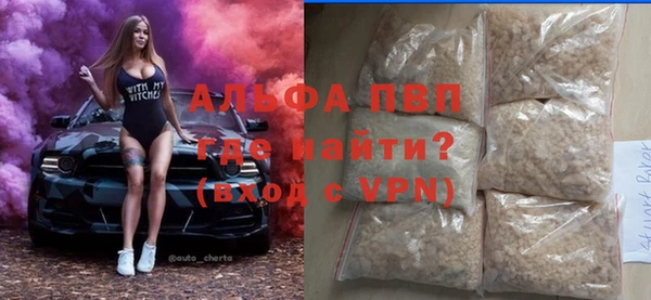 гашик Коряжма