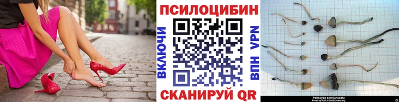 Галлюциногенные грибы Psilocybine cubensis Куса